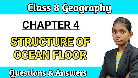 Structure of ocean floor exercise | Std 8 geography chapter 4 question answer Maharashtra board