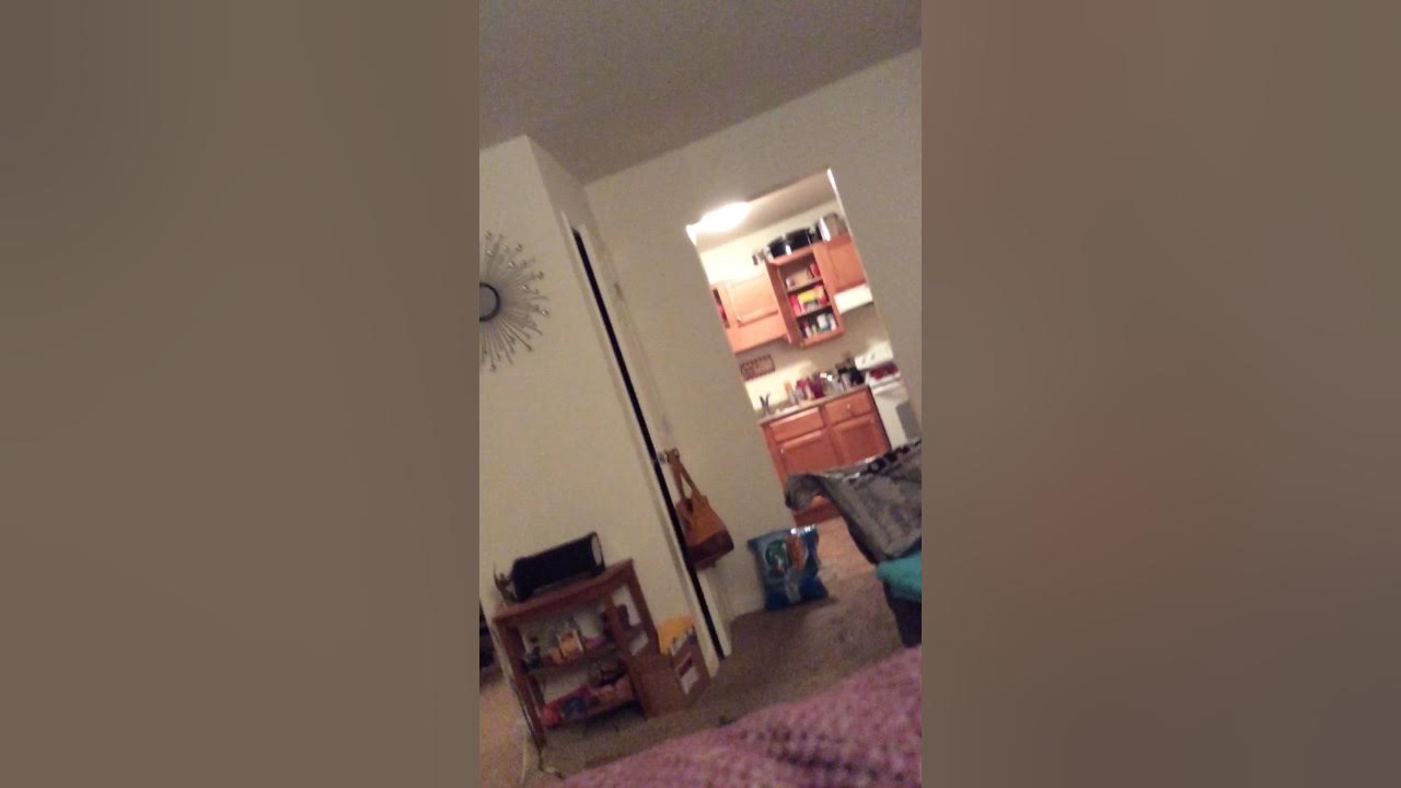 How I keep my cat out the blinds YouTube