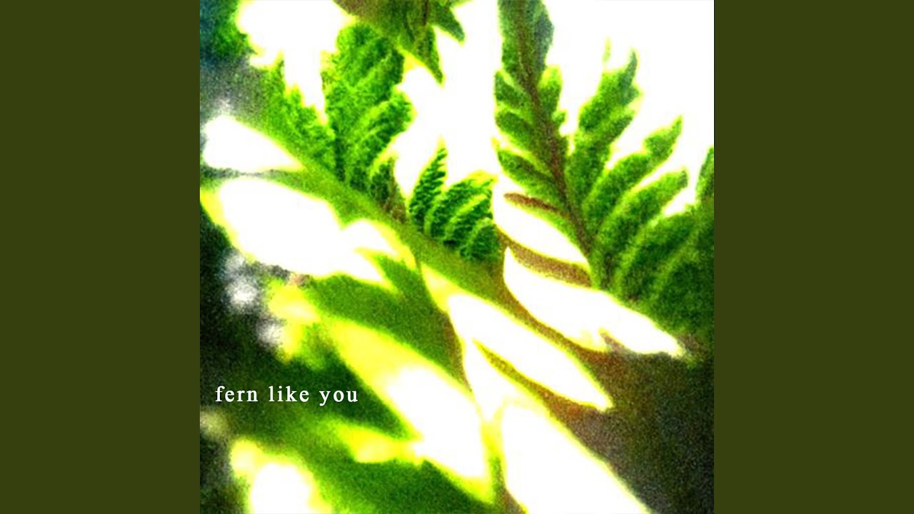 Watch Fern Like You on YouTube Watch Fern Like You on YouTube