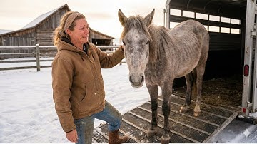 This Sick Horse Was Sent To The Wrong Ranch — What They Discovered Next Stunned Everyone