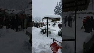 Heavy Snowfall at Malam Jabba Sawat valley #snowfall