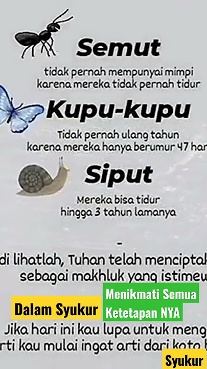 Dalam Syukur Atas Segala KetetapaNYA #alhamdulillah #syukur #viral #nikmati #tuhan