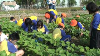 20121024_育人花香班群_小花農種花去02