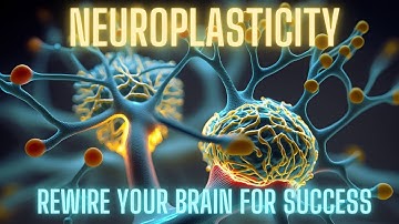 Change Your Reality: Harnessing Neuroplasticity to Shape Your Destiny
