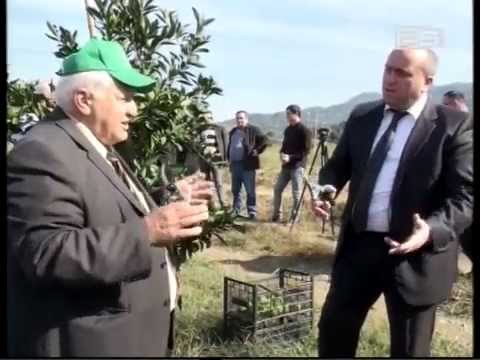 ვაკანტურ თანამდებობებზე  ახალი კანდიდატურები კვირის ბოლომდე დაინიშნება