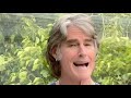 Ronn moss original version of nothing compares to you