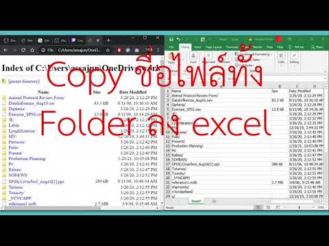 วีดีโอ: วิธีคัดลอกชื่อไฟล์