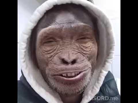 Маймул - YouTube