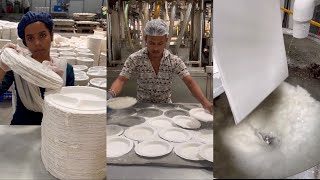 Disposable Paper Plate Factory in Pune | Biggest Indian Food Plate Factory
