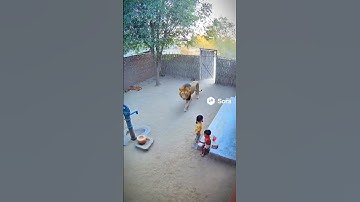 Funny Comments reading 😁| Part 2😁 #shorts #funnycomment #comment #commentsreading  #comments2fun