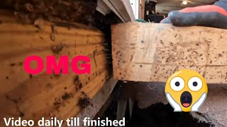 Removing sub floor reveals more problems. Mobile Home Floors. How To.