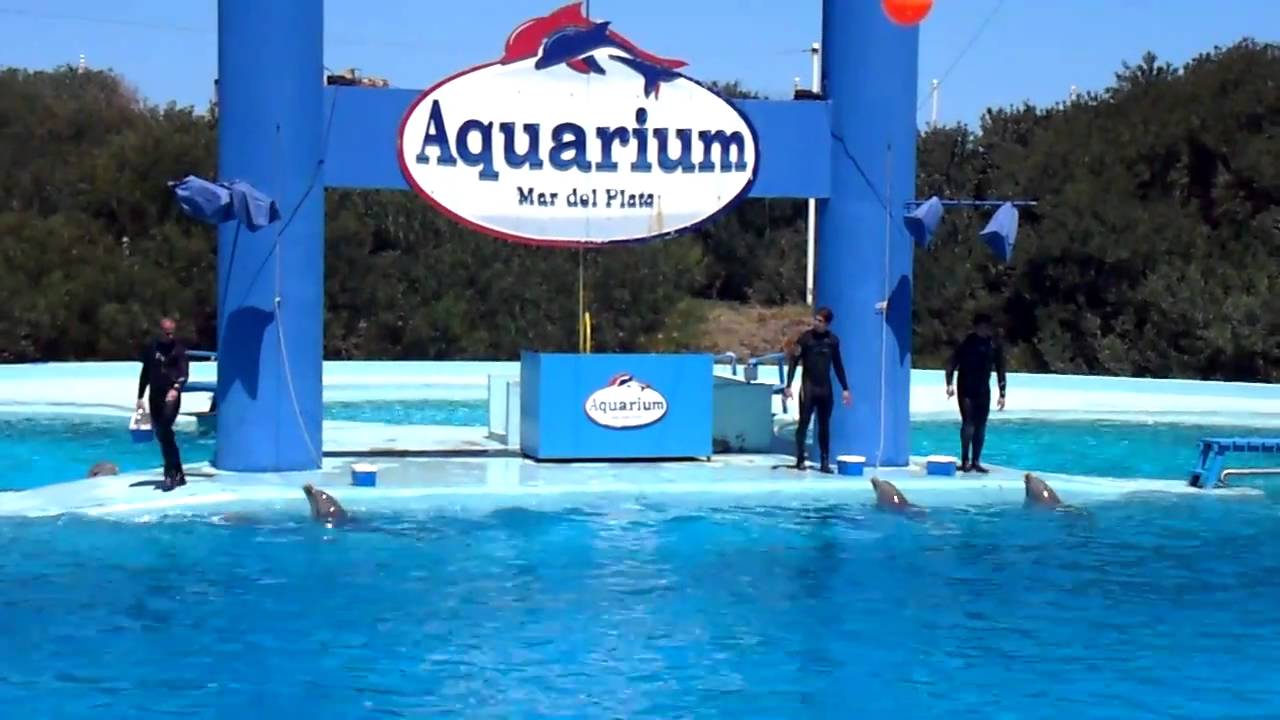 2/4 Aquarium Mar del Plata Show DELFINES HD  Diciembre 2010 Acuariun