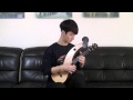 (Yiruma) River Flows In You - Sungha Jung (Harp Ukulele Ver.)