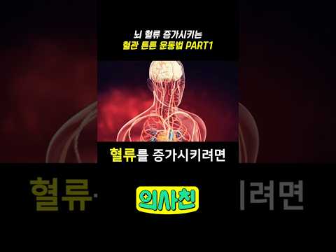 뇌 혈류 증가시키는 혈관 튼튼 운동법 PART1 #건강 #혈관청소 #운동 #뇌혈관 #혈관건강 #스트레칭