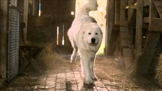 Oddball Breakfast Time