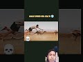 #speed #tiger #edit #funny😅😅 #youtubeshorts #viral video #success #subscribe