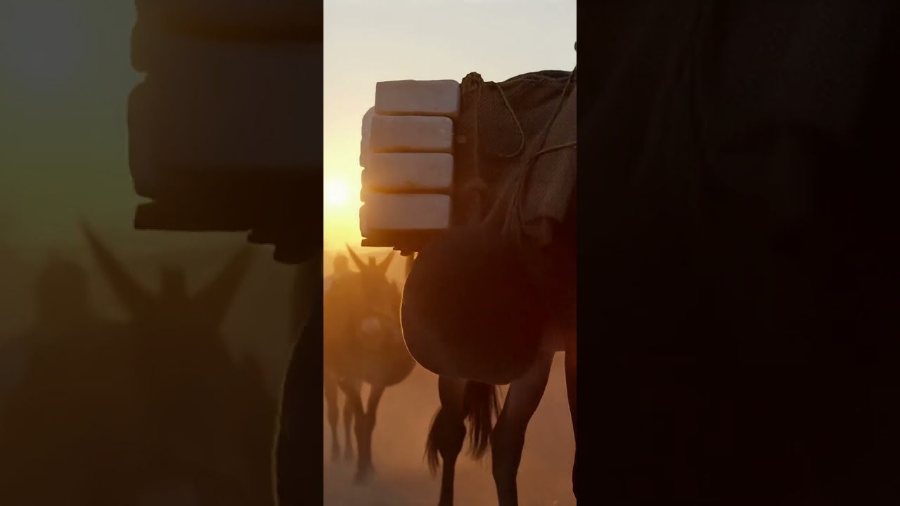 The Roman Salt Trader - Journey of the "White Gold" (AI) | 