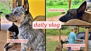 Vlog 86- Rotina de um dia morando na roça/Teve bastidores do Cão Nutela, trabalho, chuva, comida...