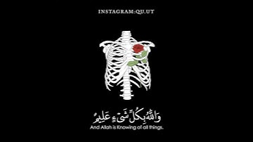 سورة التغابن (ايه 11) القارئ #احمد_العبيد