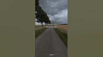 وَقَالَتْ لِأُخْتِهِۦ قُصِّيهِ ۖ - القصص‎ - عبد الباسط عبد الصمد #تلاوة_خاشعة