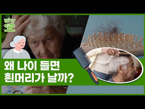 [<strong>WHY요</strong>?] 왜 나이들면 &amp;#39;흰&amp;#39; 머리가 날까? #shorts