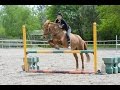 1slowsaut  cru en licol 