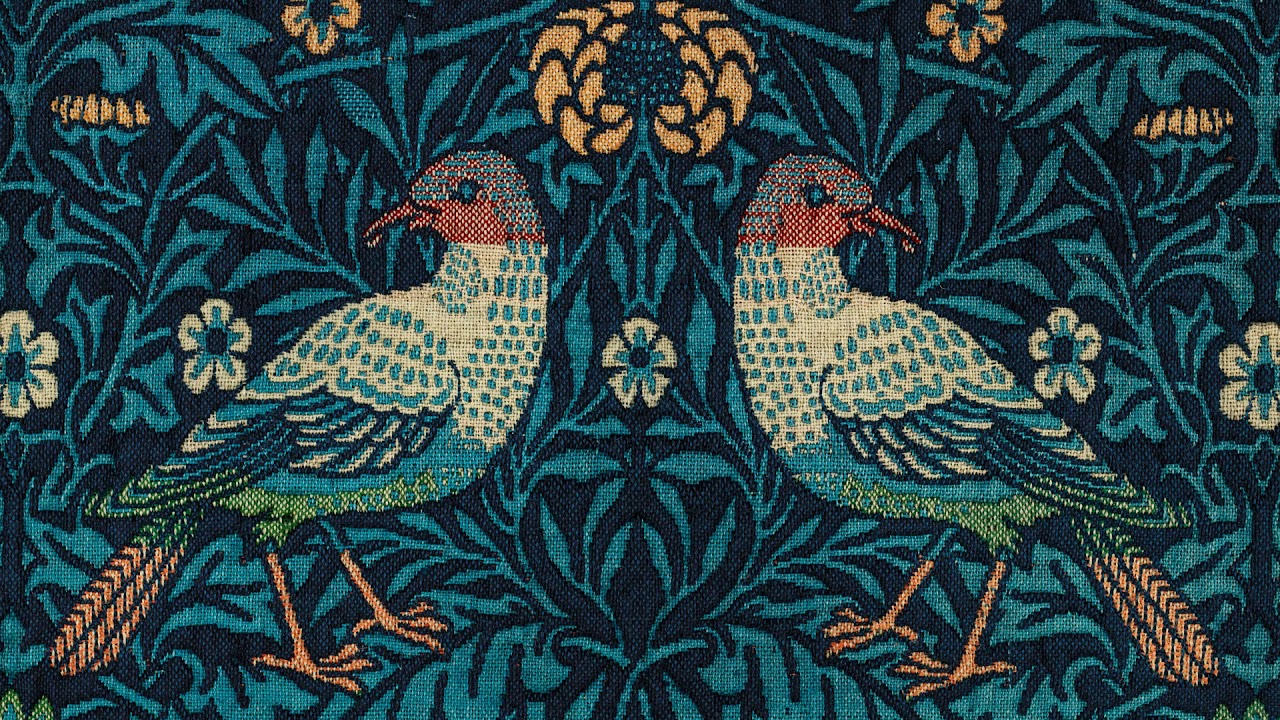 Screensaver for Your TV   Birds of a Thread