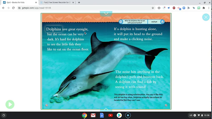 Dolphins By Melissa Stewart