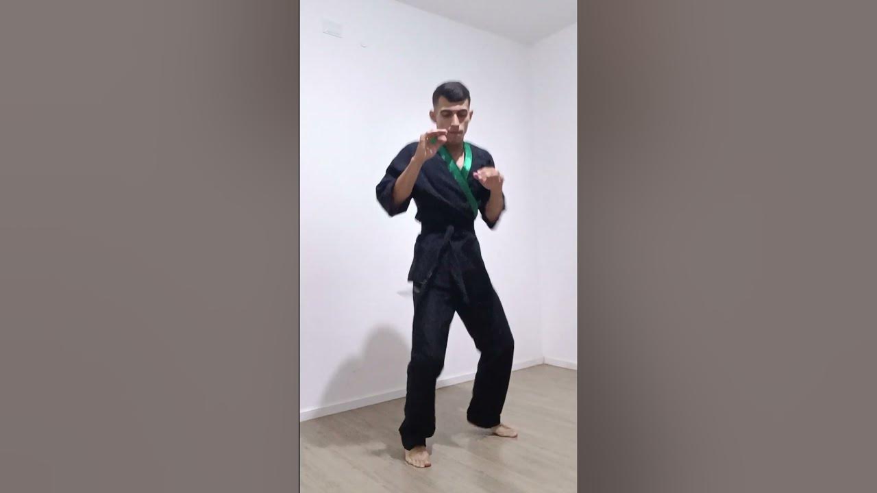 CHUTES KUNG FU shortvideo YouTube