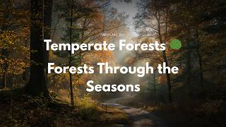Temperate Forests | Seasons in the Forest with Ms. Bri
