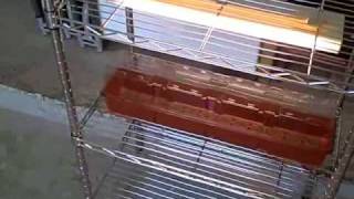 Build your own grow light system I looked online for grow light systems and found they are very expensive, well over $100. I thought a simple yet effective system