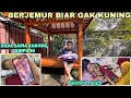 KAKUNG LAMPUNG VICALL PENGEN LIHAT CUCU‼️langsung berjemur ‼️bajidot salembrot