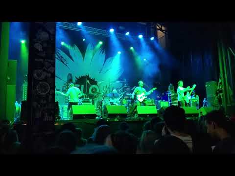 Dead Poet Society - .intoodeep. (live)