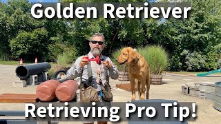 Den Retriever Training Retrieving Session Pro Tip