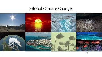 Weed Management Under Variable Weather