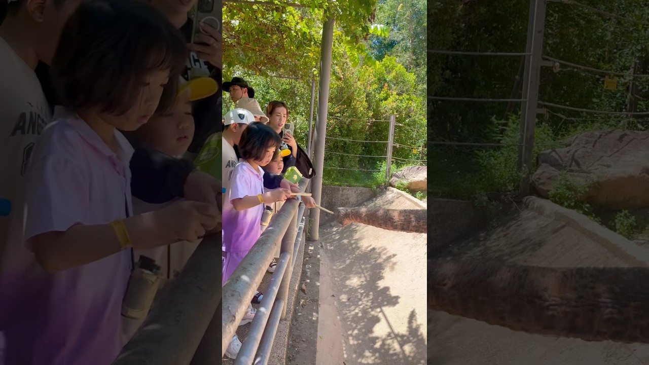 Summer joy! Kids visit Jiha & ZaYul 🐘✨ 