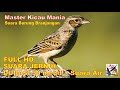 Masteran Murai, Suara Burung BRANJANGAN Durasi Panjang + Terapi Suara Air Mengalir...FULL HD...!!!