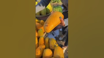 Mango 🥭 |Mango Baby 👶🥭 | #shortsfeed #shortvideo #shorts #1millionviews #mangoplant #ytshorts #viral