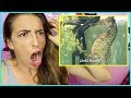 Reacting to a Seahorse Birth!
