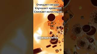 2 дешёвых витамина для мозга! Профилактика инсульта и деменции