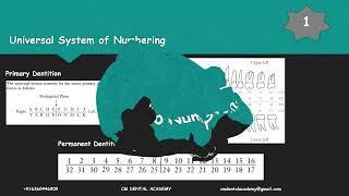 Tooth Numbering Systems