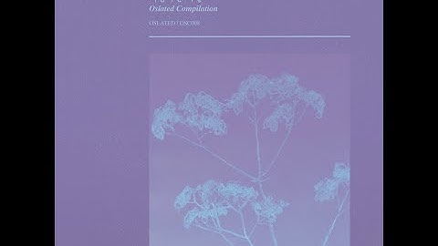 Aspetuck - Chip Clip