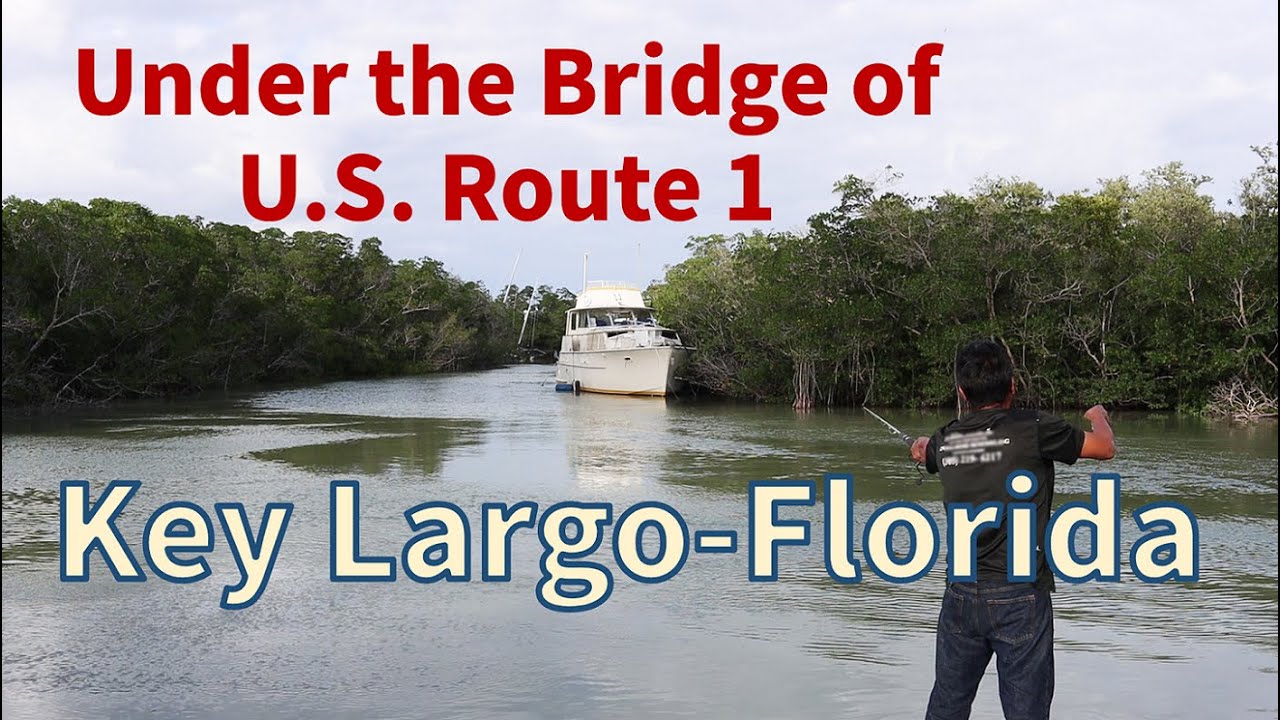 key-largo-near-miami-beautiful-places-visitors-don-t-know-youtube