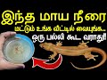 இனி ஒரு பல்லிக் கூட வீட்டில் இருக்காது | How To Get Rid of Lizards in Tamil | palli thollai neenga