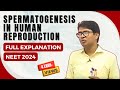 Spermatogenesis | Human Reproduction | Dr Rajeev Ranjan - NEET & AIIMS preparation videos