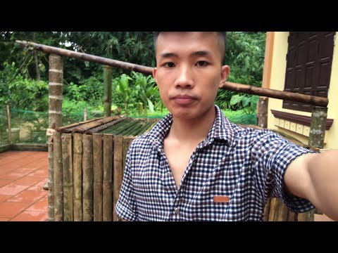 Hướng dẫn làm chuồng gà đơn giản bằng vật liệu tre nứa có sẵn