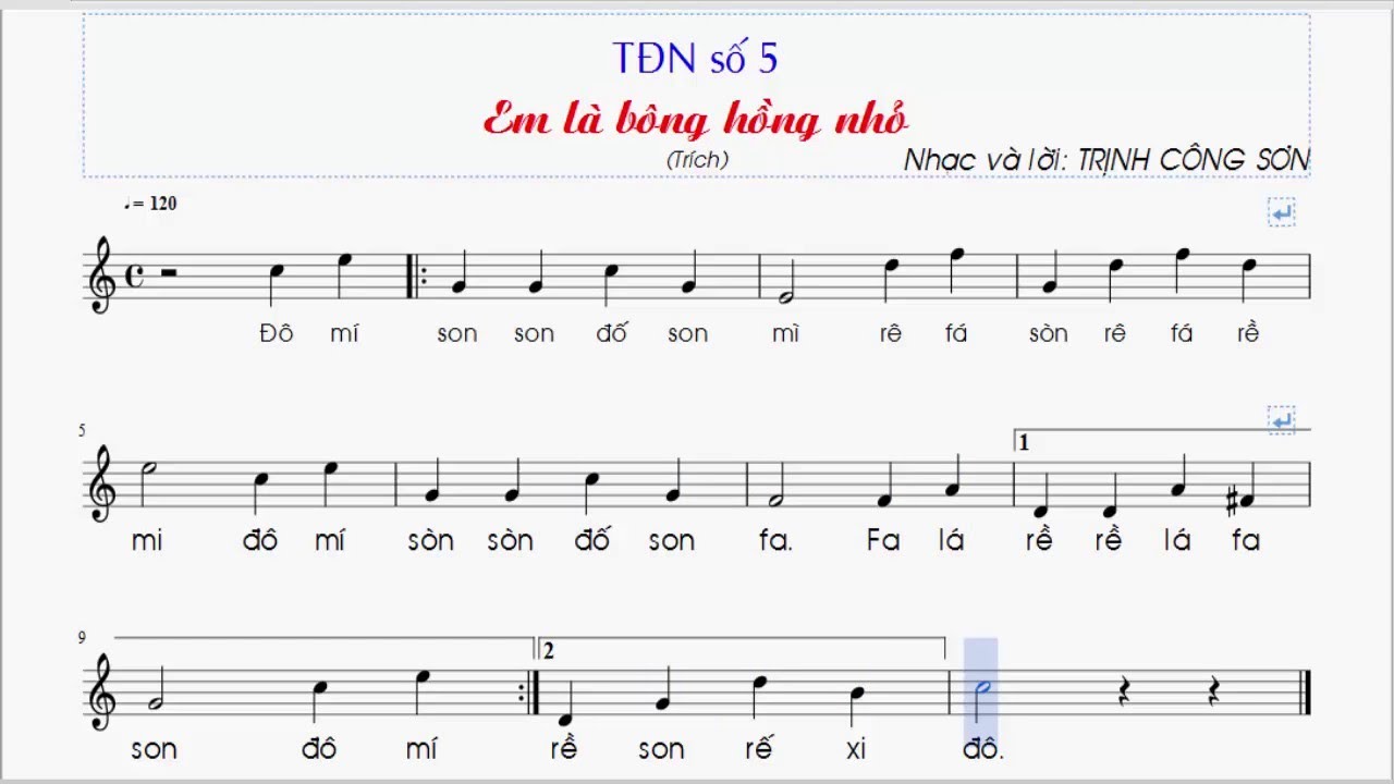 TĐN SỐ 5 ÂM NHẠC 7_ EM LÀ BÔNG HỒNG NHO_Lãng Zu Ka - youtube
