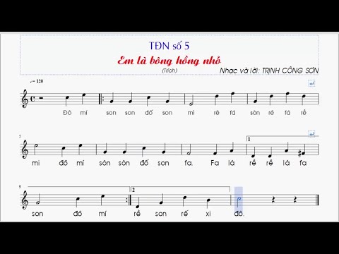 Video TĐN SỐ 5 ÂM NHẠC 7_ EM LÀ BÔNG HỒNG NHO_Lãng Zu Ka - youtube