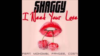 Shaggy Feat. Mohombi, Faydee, Costi - I Need Your Love (Afrojack W Bootleg)