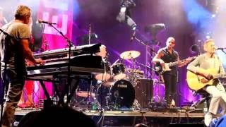 Wolfgang Ambros Langsam wachs ma zam Live